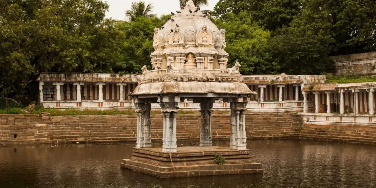 Using Nature and Science To Remediate Temple Ponds