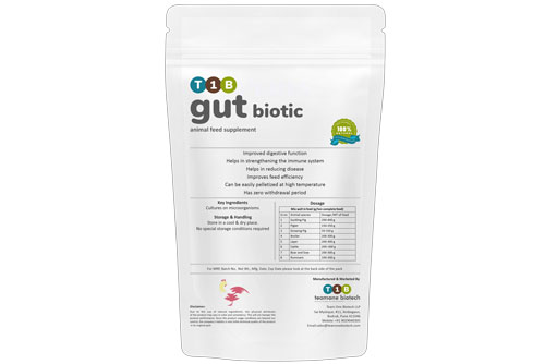 Animal feed supplement for animal husbandry. Bioformulation for healthy gut microbe systems of rumens, cattles & poultry