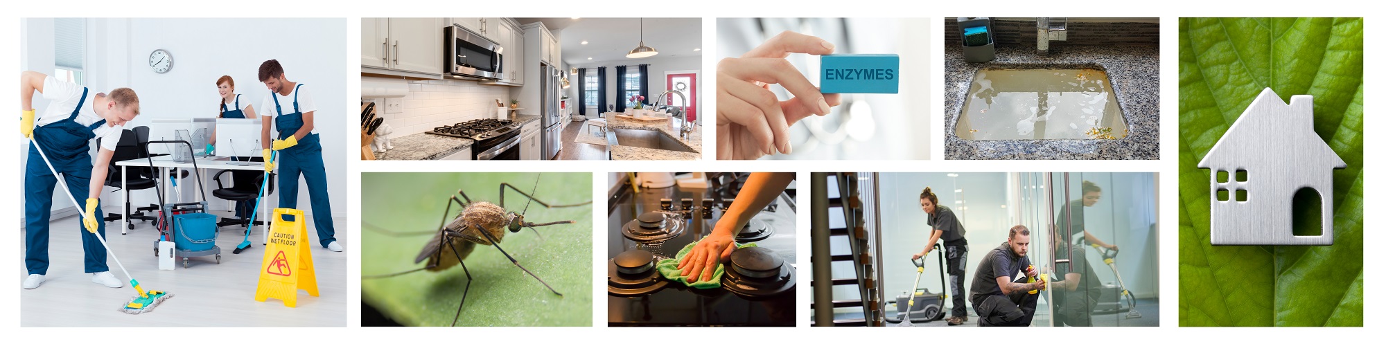 know more about various alternatives offered in our bio-enzymatic cleaning range to work with drain pipe cleaning, unblock the drainage water systems, surface cleaners that do not harm the material and reduce the organic matter and stains to water soluble molecules that can be easily washed and disposed off