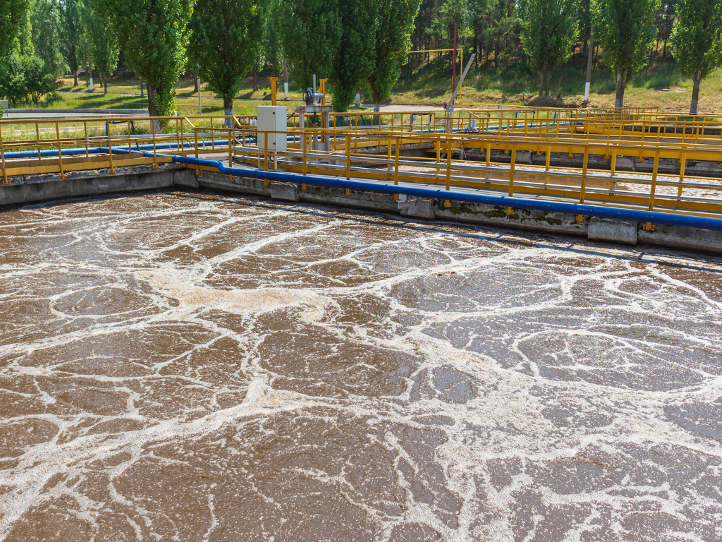 Impact of ineffective biomass in a wastewater treatment plant