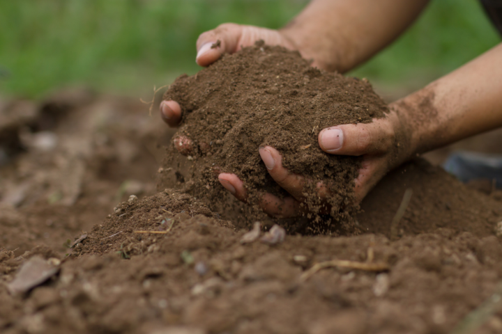 low carbon content in todays agricultural soil