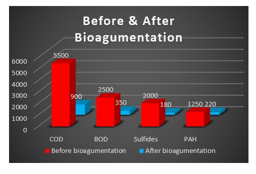 Industrial Wastewater Treatment for Sulfide Removal