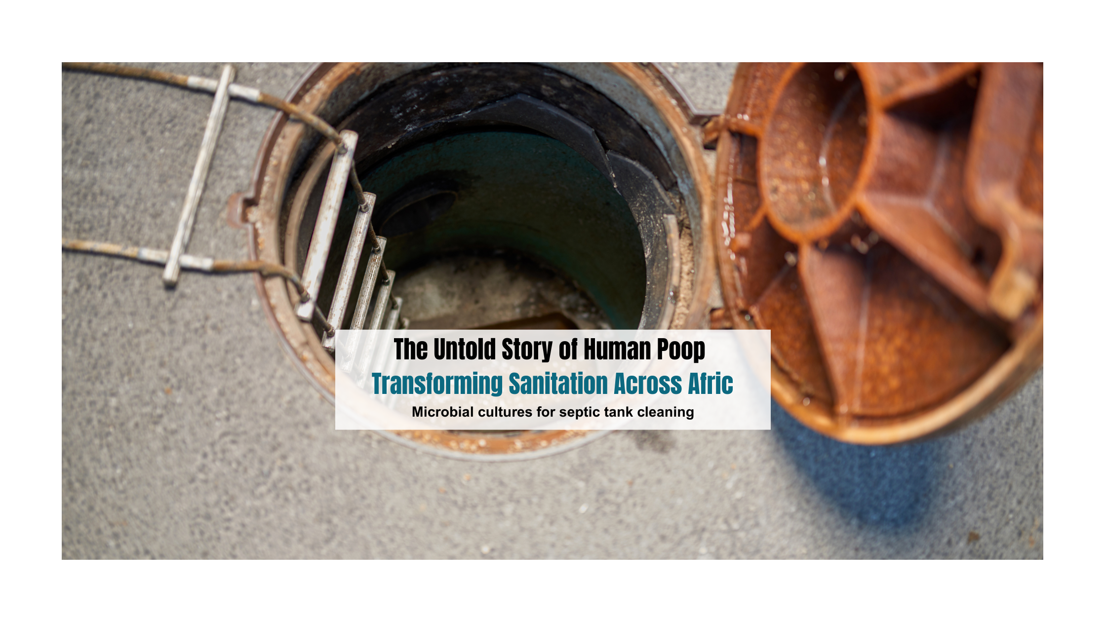 Microbial cultures for septic tank cleaning