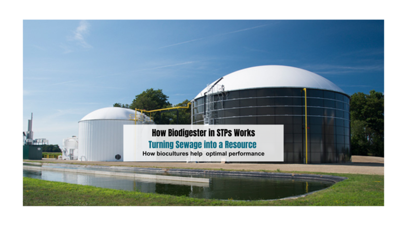 Turning Sewage into a Resource using biocultures (2) (1)