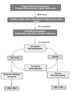 Carbon removal process