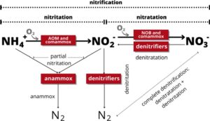 Nitrogen removal