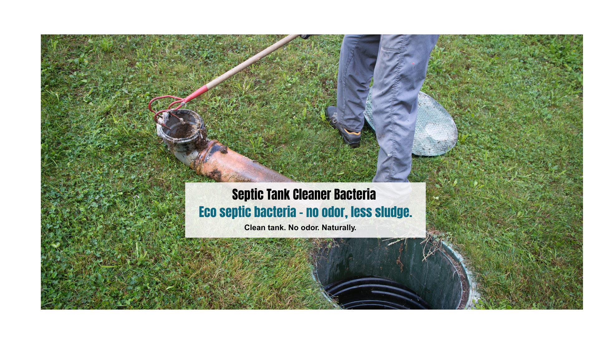 Septic Tank Cleaner Bacteria: The Smart Way to Maintain a Healthy Septic System