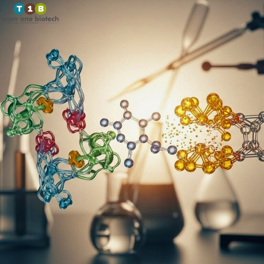 Implementing Enzyme-Based Solutions: What You Need to Know