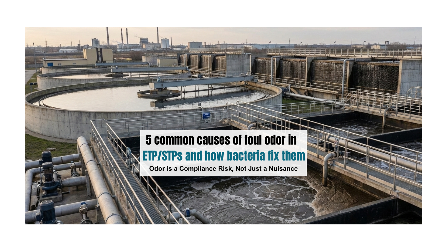 5 common causes of foul odor in ETP/STPs and how bacteria fix them