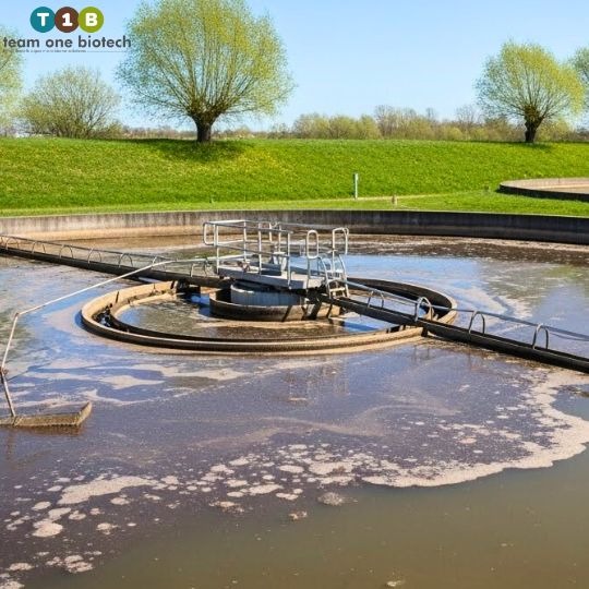 The Three Stages of Effective Wastewater Treatment