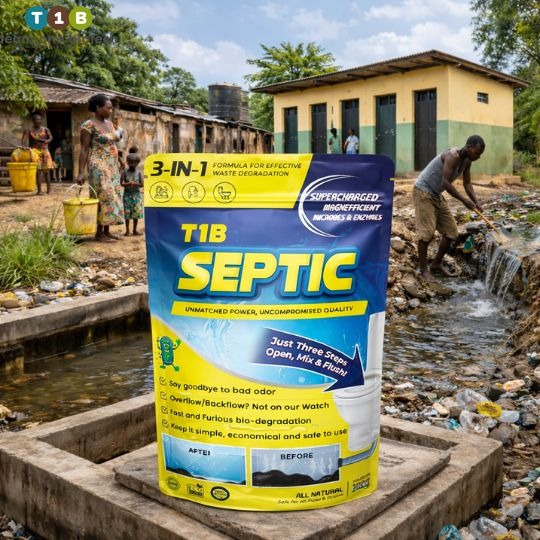Understanding the Sanitation Infrastructure Gap