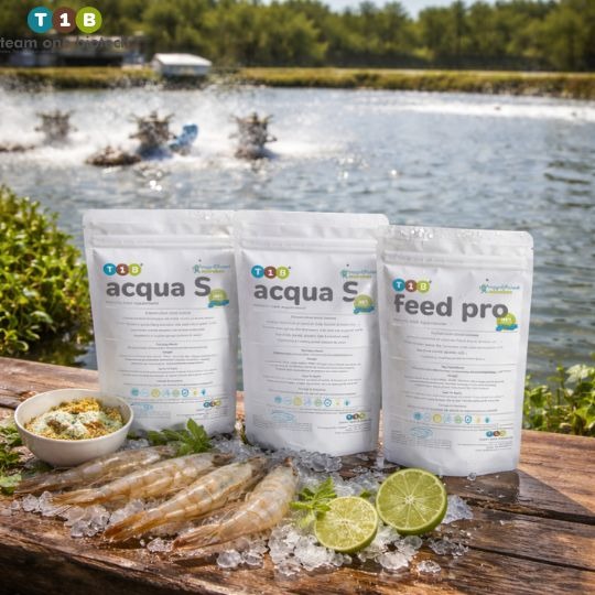 The Competitive Advantage: Why Premium Probiotics Matter