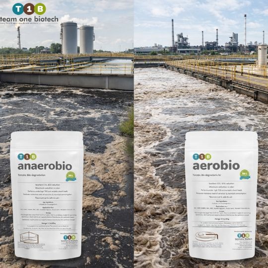 Anaerobic vs. Aerobic: Getting the Biological Treatment Chain Right