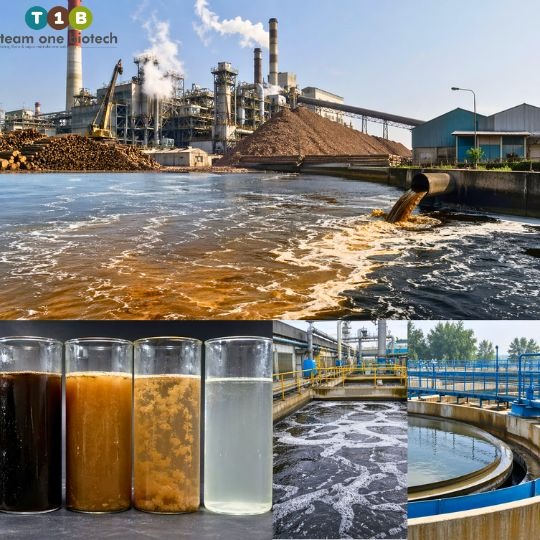 Why Paper Mill Effluent Is Among the Hardest Industrial Wastewaters to Treat