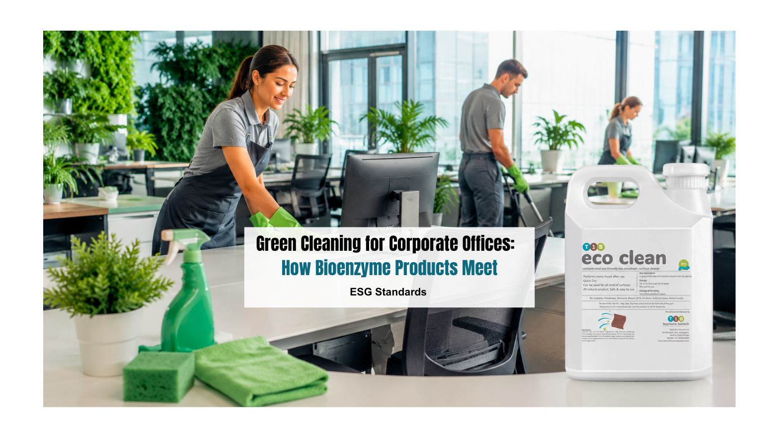 Green Cleaning for Corporate Offices: How Bioenzyme Products Meet ESG Standards