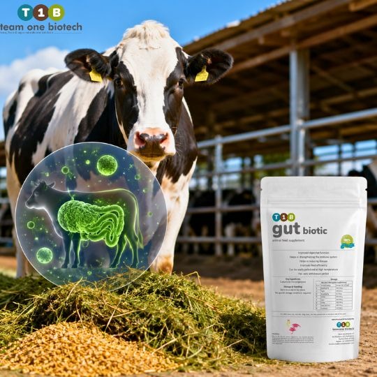 Feed Efficiency and Nutrient Use Efficiency