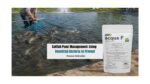 Catfish Pond Management: Using Beneficial Bacteria to Prevent Disease Outbreaks