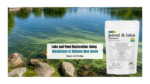 Lake and Pond Restoration: Using Biocultures to Remove Blue-Green Algae and Sludge