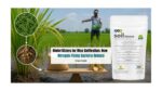 Biofertilizers for Rice Cultivation: How Nitrogen-Fixing Bacteria Reduce Urea Costs