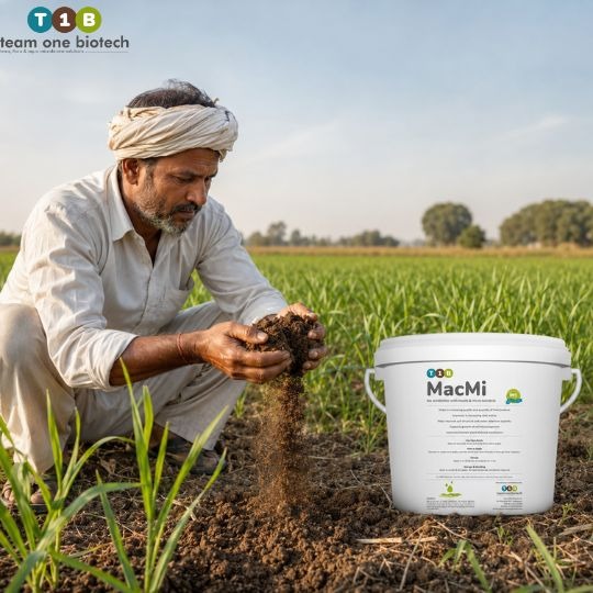 Addressing the Indian Soil Crisis Directly