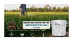 Improving Wheat Yield with PGPR: Field Application Guide for Rabi Season