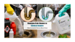 Bioenzyme Drain Cleaners vs Chemical Cleaners: What Commercial Kitchens Should Know