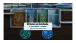 Nitrification and Denitrification in Wastewater Treatment: A Process Engineer’s Overview
