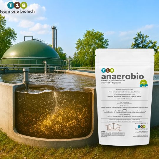 Understanding Anaerobic Wastewater Treatment