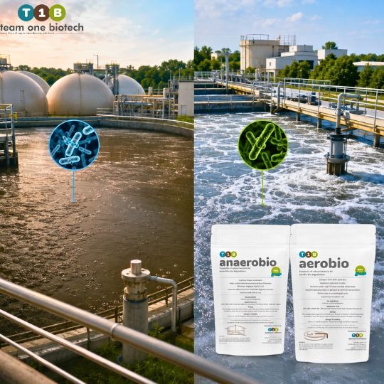 Aerobic and Anaerobic Treatment of Wastewater, Key Operational Differences