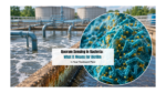 Quorum Sensing in Bacteria: What It Means for Biofilm in Your Treatment Plant