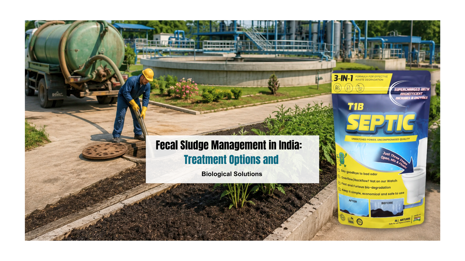Fecal Sludge Management in India: Treatment Options and Biological Solutions