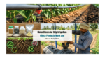 Biofertilizers for Drip Irrigation: Which Products Work and How to Apply Them