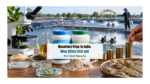 Bioculture Price in India: What Drives Cost and What You’re Paying For