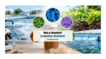 What Is Bioculture? Composition, Mechanism and Applications
