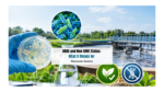 GRAS and Non-GMO Status: What It Means for Wastewater Bacteria