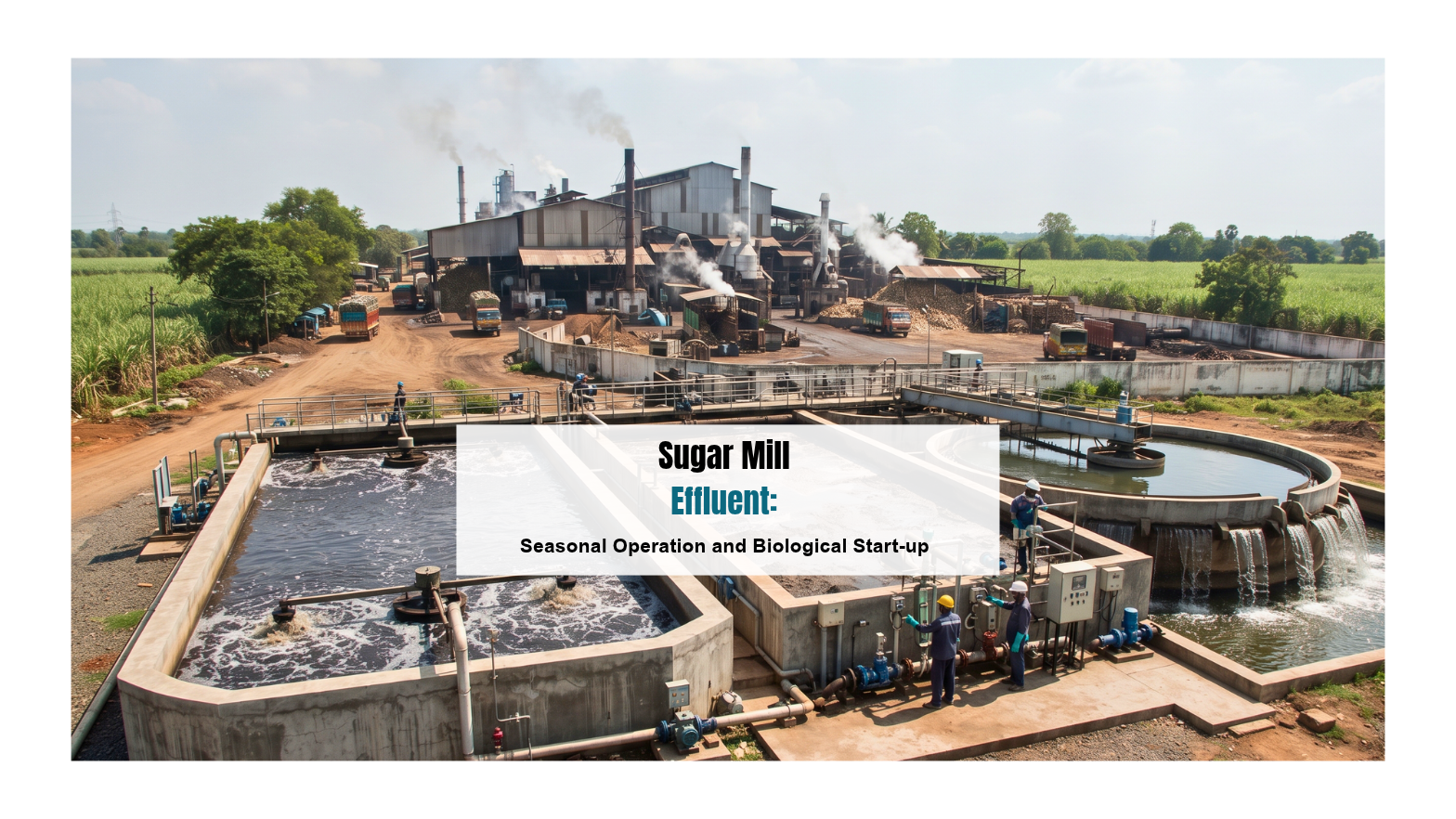Sugar Mill Effluent: Seasonal Operation and Biological Start-up