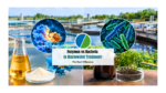 Enzymes vs Bacteria in Wastewater Treatment: The Real Difference
