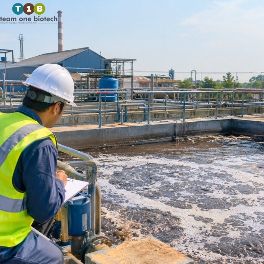 Where Sugar Industry ETP Start-ups Usually Go Wrong