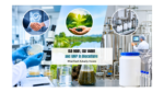 ISO 9001, ISO 14001 and GMP in Bioculture: What Each Actually Covers