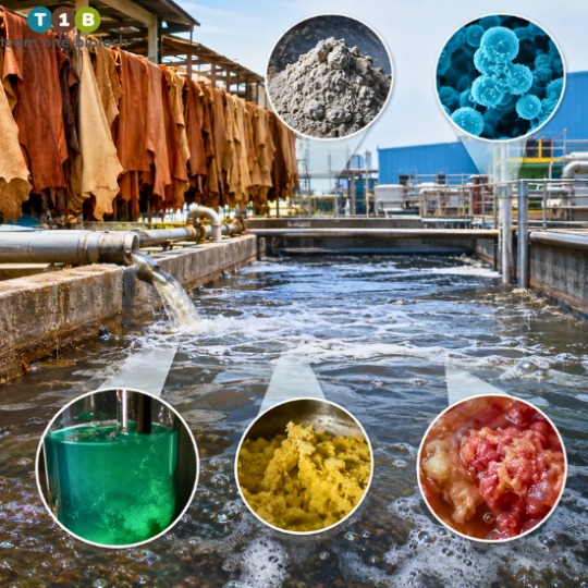 Salinity, Proteins and Organic Nitrogen: The Hidden Limiters